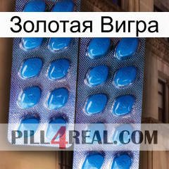 Золотая Вигра viagra2